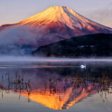 1048358d977e379daec22651fb1eaa49