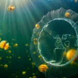 19d5ca2e625892b4d032f5e165a4f333