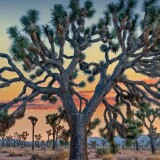 31d482c382764d72c0ebdc0624023ac3