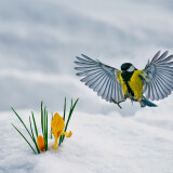 3cbe50c76c638ff302ef6b44debfb5d7