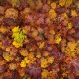 446e5a707918883fbc499969ab31f64c