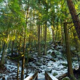 487934b0359f1ea3b0a915230c3b6fcf