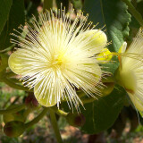 4e6b371d3fab50fb9a68cfa044ad79ef