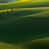 63bbc8784c207c2f4907894dcb130efa