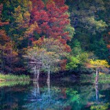 7219d8971cb9188a5e1eb272cb91934d