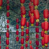 856e931214f5a8713ce35d5d545b9bd9