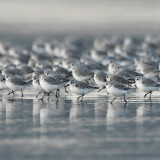 8ddca2f8e8416bd1fdd0350adb3f76a9