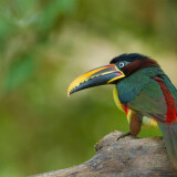 8fce8ef3924f2356437480a26f25aab3