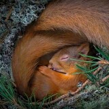 bb418ce98d3906d83aec4ce17eaafee9