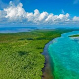 cf467683a4bae92b462c2f3184e8af0b