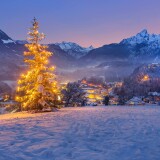 d114598af242102653240708cdbf1581