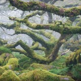 da661fe902c208e9e8a3bed6fa0e6e88