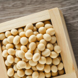 dab5886c41b6bbc27f4bc44f2a47ba9a