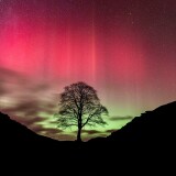 e02af5ff5f51fd7cbe4cd9d35b4e33bc