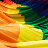 e6a76d0ddc9b29a8318d4c79abf3591b