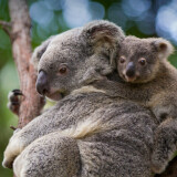 fa14364070d765634ab697a65ac70e1a